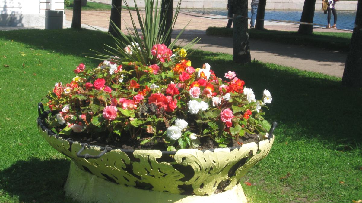 Цветочная клумба Цветочная клумба