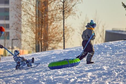 В Подмосковье 27 человек травмировались на ватрушках и санках - Mash