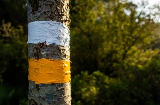 Осенняя обработка деревьев проводится после листопада до наступления устойчивых морозов — Андрей Соловьёв