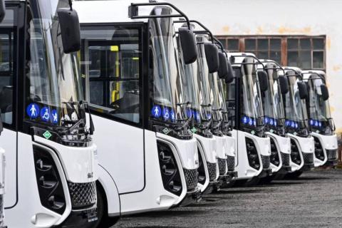 Перевозка скутеров в стандартных автобусах невозможна из-за их габаритов — Емеельяненко