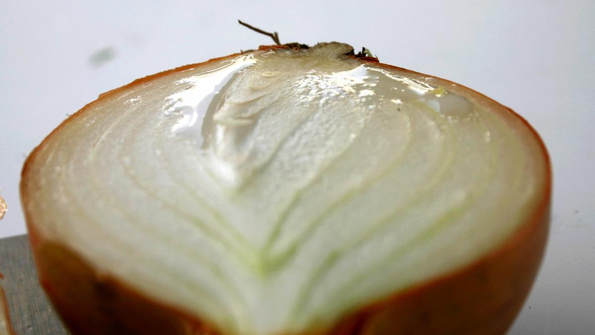 Loeg - onion Loeg - onion