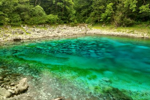 Путешественники делятся впечатлениями от озёр и водопадов в долине Сычуани