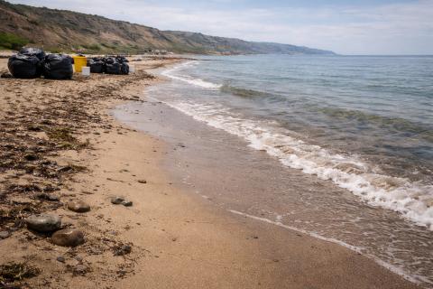 Лето близко, туристы едут, но море под запретом: анапское побережье хранит неприятный сюрприз