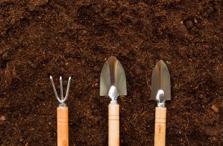 Самодельные почвосмеси становятся устойчивой альтернативой торфяным — Екатерина Иванова