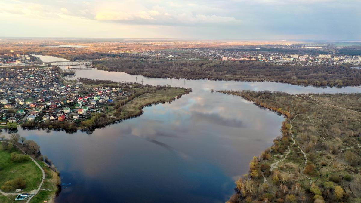 Гомель Гомель