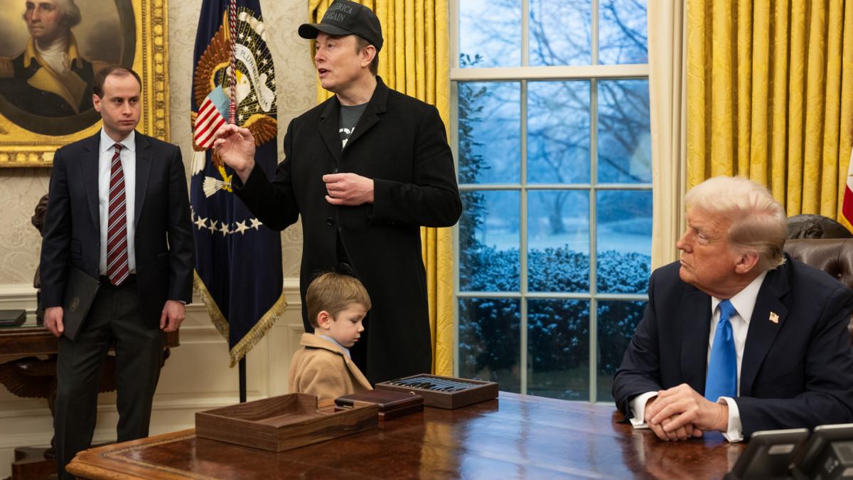 Дональд Трамп и Илон Маск