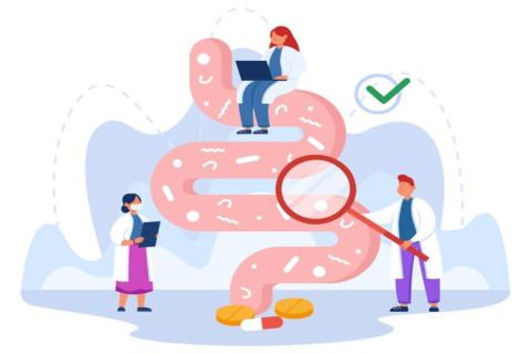 Эксперты развеяли популярные мифы о здоровье кишечника и питании