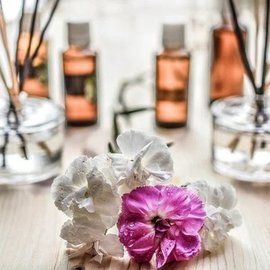 Нейрокоуч Феклисова выделяет ряд ароматов, способных положительно влиять на память