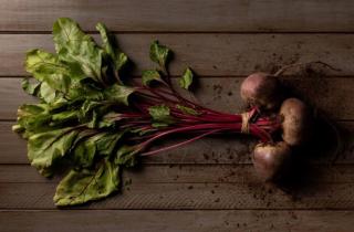 Свёкла формирует нежную ботву для салатов в домашних условиях — агроном Галина Орлова