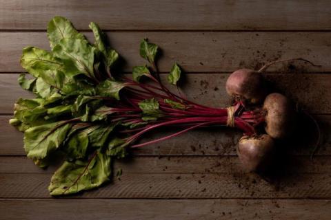 Свёкла формирует нежную ботву для салатов в домашних условиях — агроном Галина Орлова