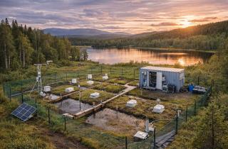 Повышение уровня грунтовых вод снизило выбросы CO2 в Арктике – Global Change Biology