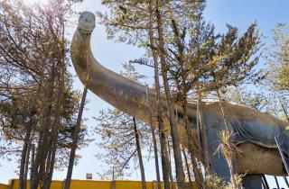 Анализ окаменелостей показал особенности строения древнего динозавра — исследователи