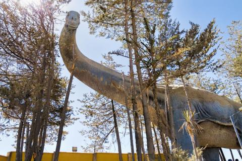 Анализ окаменелостей показал особенности строения древнего динозавра — исследователи