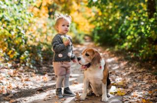 Недосып провоцирует истерики и тревожность у детей — психолог Наталья Наумова