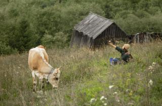 Спрос на агротуризм в Крыму увеличился в 10 раз — Крым 24