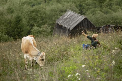Спрос на агротуризм в Крыму увеличился в 10 раз — Крым 24