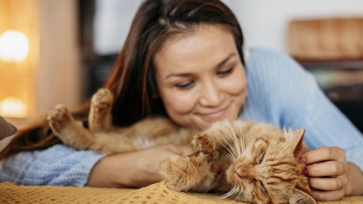 кошка и человек кошка и человек