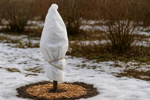 Осенняя посадка овощей и ягод: сроки, сорта и правила подзимнего посева Осенняя посадка овощей и ягод: сроки, сорта и правила подзимнего посева