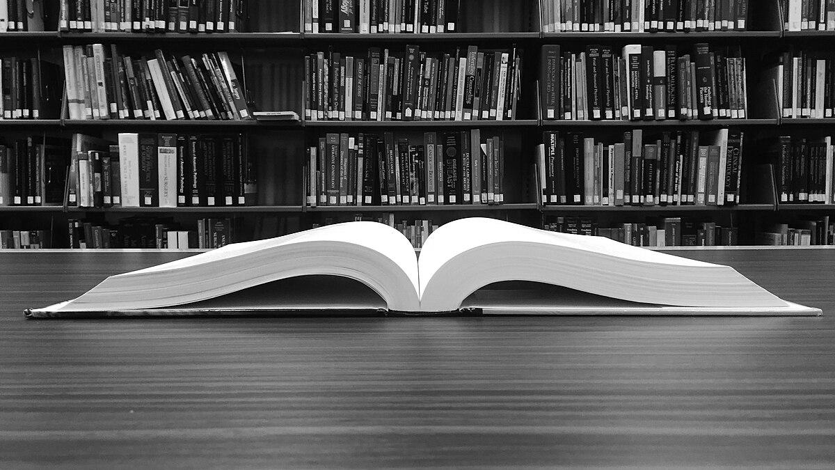 Книга Книга