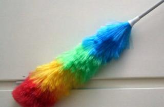 Пауки в доме помогают снизить количество мух, комаров и других насекомых