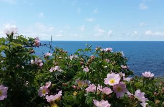 Анапа может взлететь в цене на 20%: одно решение по пляжам перевернёт весь летний сезон