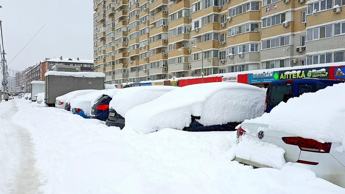 Краснодар, снегопад Краснодар, снегопад