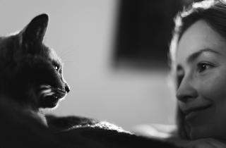 Ориентальные кошки плохо переносят одиночество — фелинологи