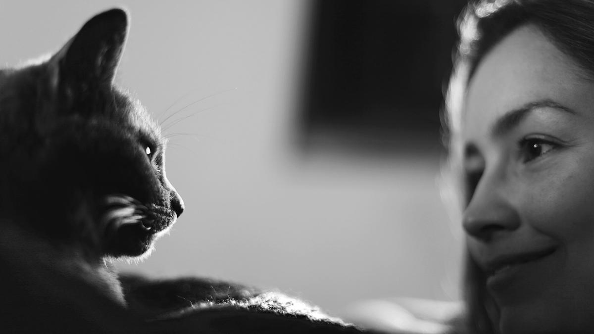 Девушка и кошка