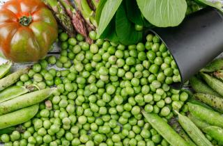 Горошек может заменить авокадо в популярном завтраке — BBC Good Food