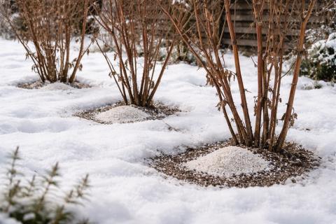 Штраф за неиспользование дачи составит от 20 тысяч рублей — Чаплин