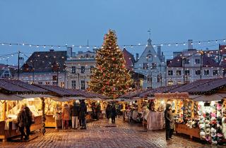 В Анапе открывают новогодний парк с 22-метровой ёлкой — корреспонденты
