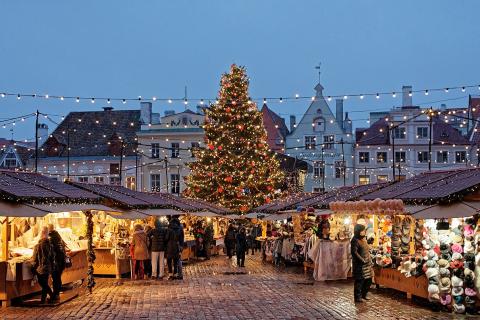 В Анапе открывают новогодний парк с 22-метровой ёлкой — корреспонденты