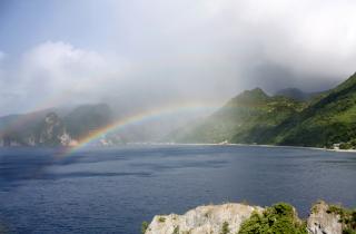 Доминика даёт возможность наблюдать и нырять рядом с кашалотами — Forbes