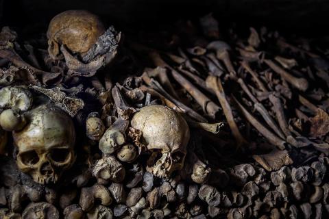 Археологи обнаружили 4000-летнюю кость с застрявшим наконечником стрелы в каталонской пещере