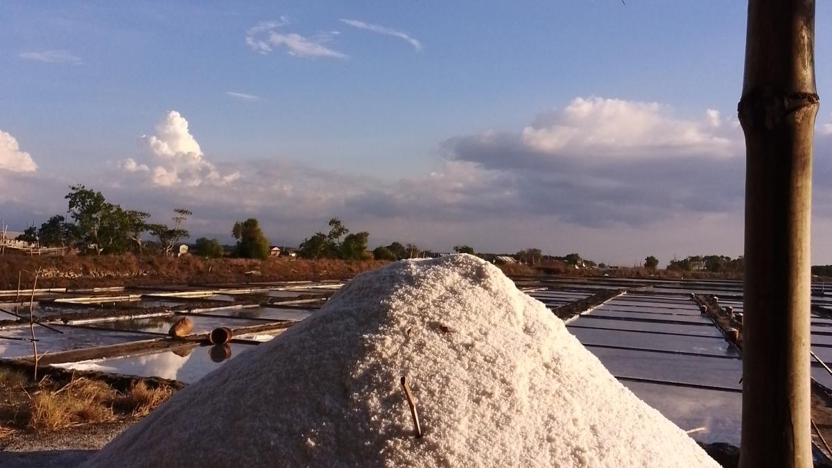 Соляная ферма