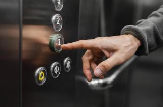 Собакам нужен короткий поводок в лифте для безопасности — кинологи