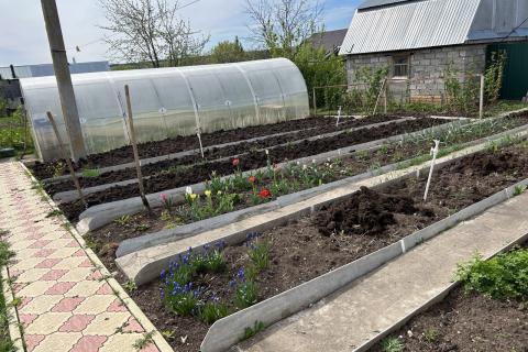 Удобрения необходимо вносить один-два раза за сезон по потребностям — садоводы