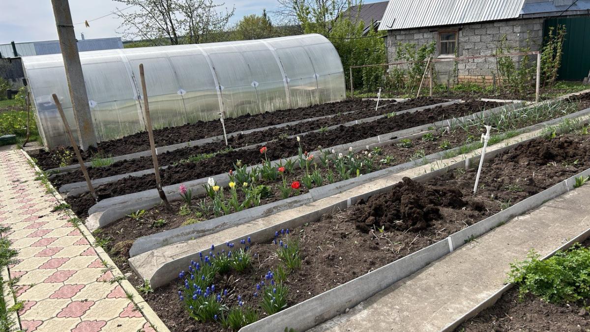 Сад, огород, грядка