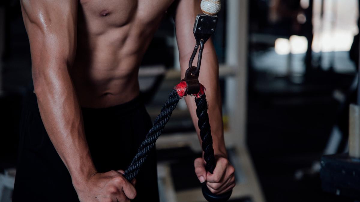 Тренировка в спорт зале Тренировка в спорт зале