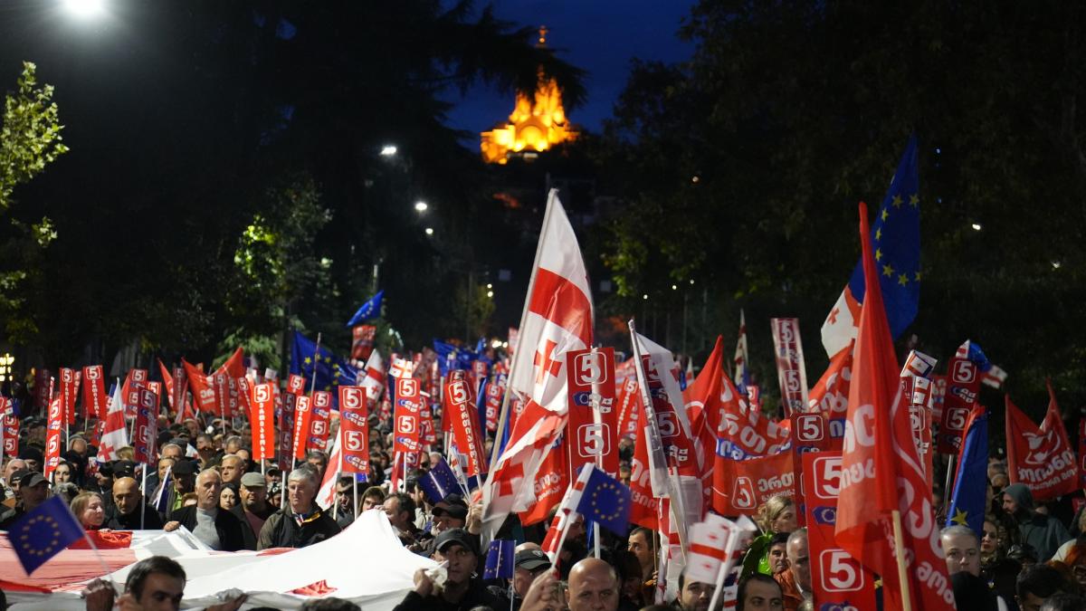 Митинг в Грузии Митинг в Грузии
