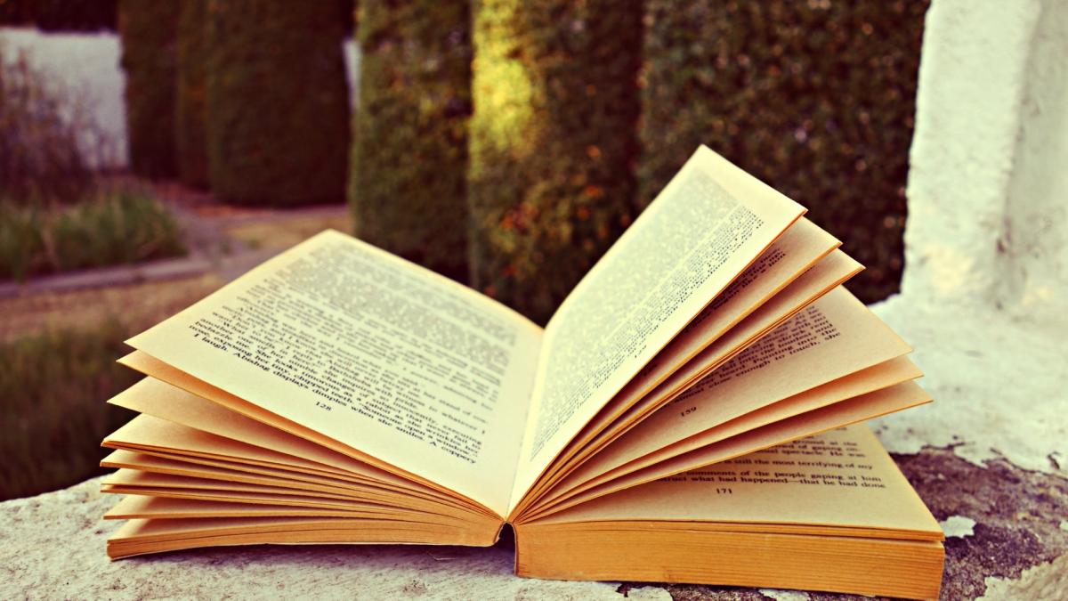 Книжные страницы Книжные страницы