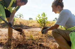 Регулярный уход улучшил результаты начинающих садоводов — по сведениям агрономов