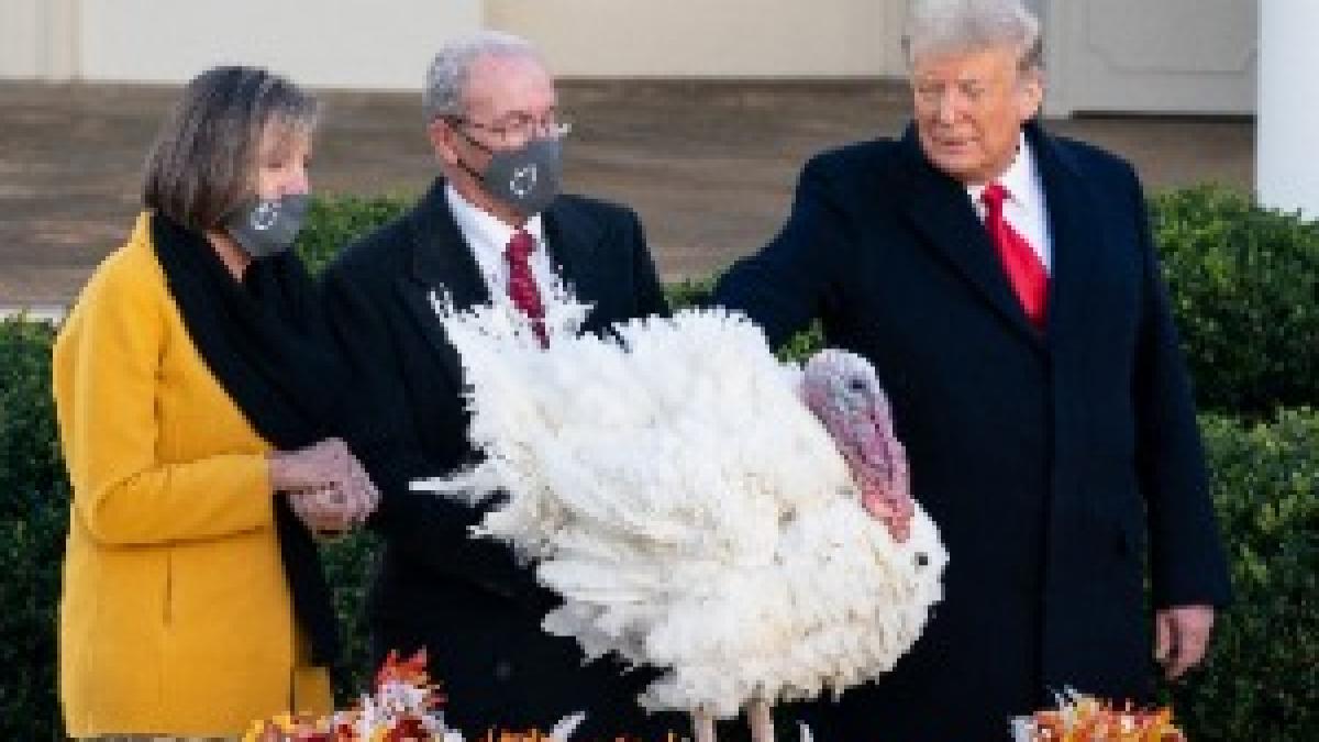 President Trump Pardons the National Thanksgiving Turkey (50642958122)