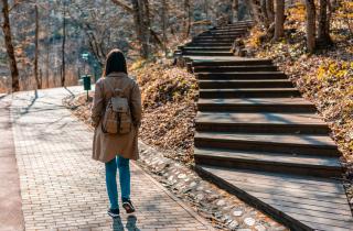 В Подмосковье ожидается до пяти градусов тепла в первый день зимы — Гидрометцентр