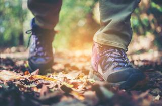 7000 шагов снизили риск смерти на 47 процентов — The Lancet Public Health