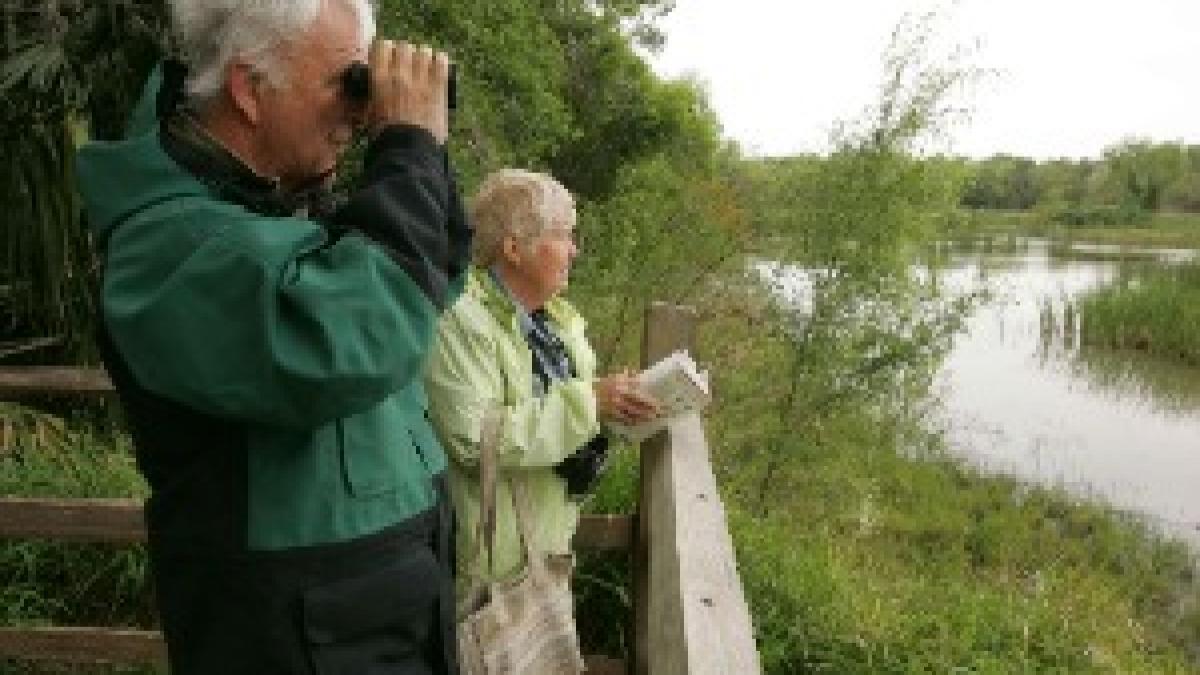 Older couple watching from observation deck