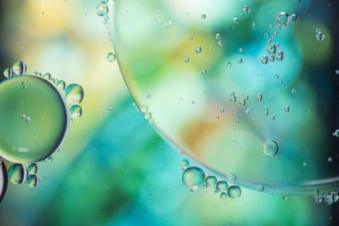 Прямое извлечение углекислого газа из воды дорогое, но точное — Европейский морской совет