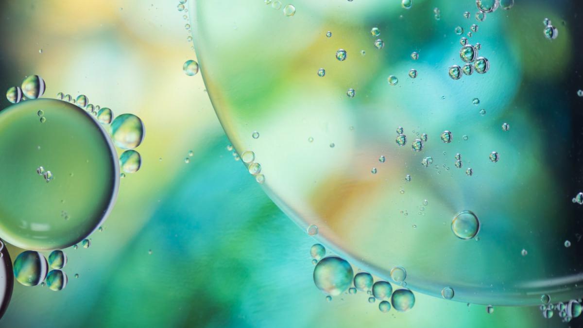 Изучение воды под микроскопом