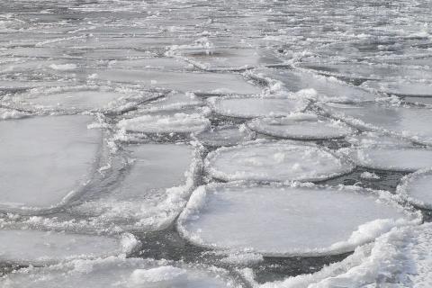 Роман Вильфанд предупредил об опасности хрупкого льда в центральной России – ТАСС