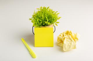 Аарон Стейл: смешивание живых и пластиковых кустов вызывает гниль